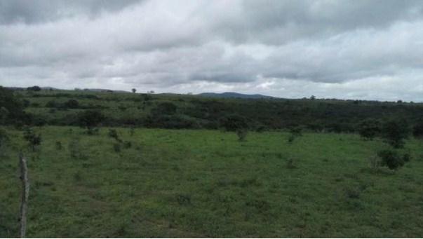 Fazenda à venda, 12620000 m² por R$ 22.000.000,00 - Aeroporto - Feira de Santana/BA - Foto 8