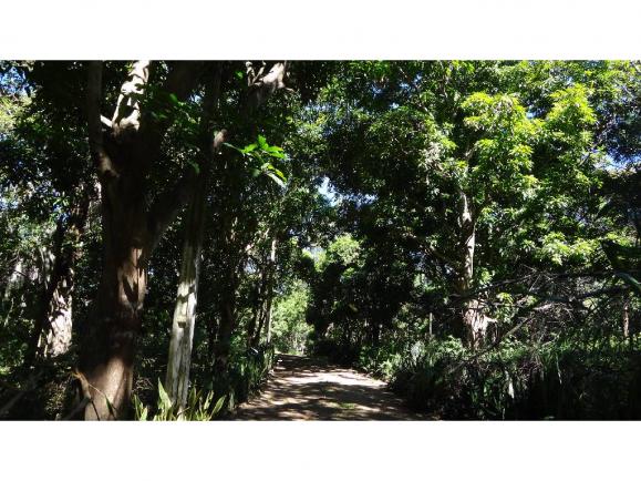 Chácara à venda com 3 dormitórios em Jardim potiguar, Varzea grande cod:15475 - Foto 8