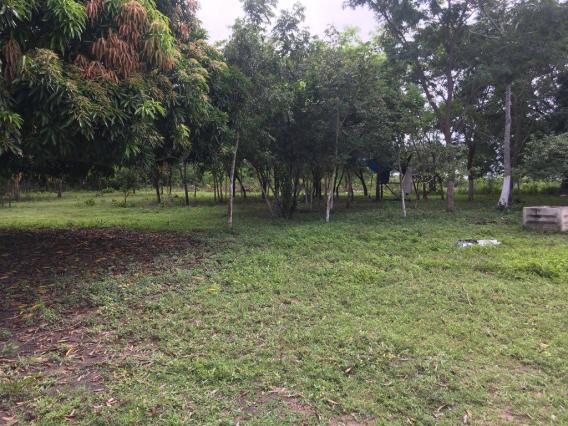 Chácara à venda em Zona rural, Cuiaba cod:21135 - Foto 11
