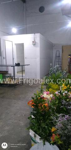Câmara para flores