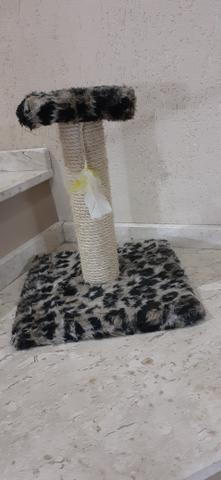 Arranhador e brinquedo para filhotes