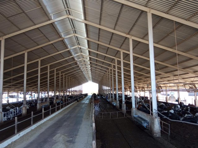 Fazenda 388 Alqueires, Vários Galpões (1 para 450 Vacas), 8 Reservatórios de Água, Garador - Foto 17