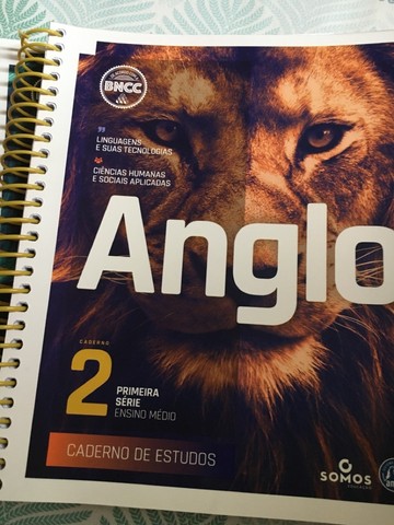 Kit Caderno Anglo 1°EM 2°bimestre 