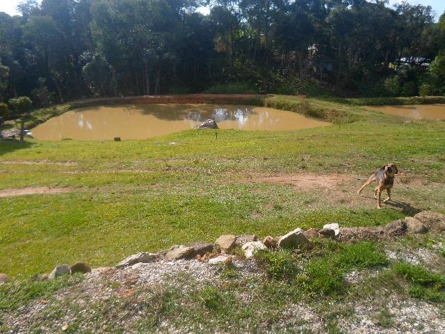 Chácara 32247 m², bem cuidada - Foto 13
