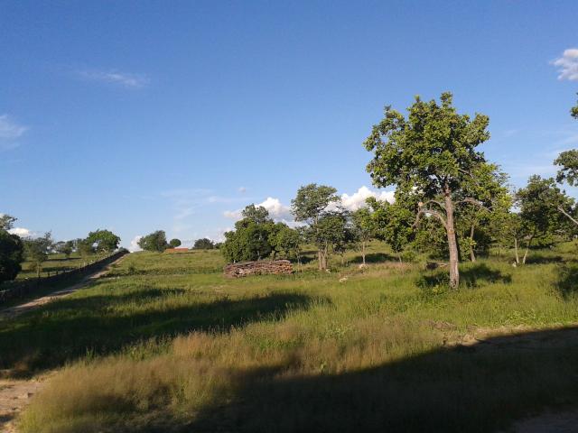 Fazenda com 6.000Ha à margem do Rio Preto! Em Mansidão BA. A 60km de Santa R. de Cassia - Foto 10