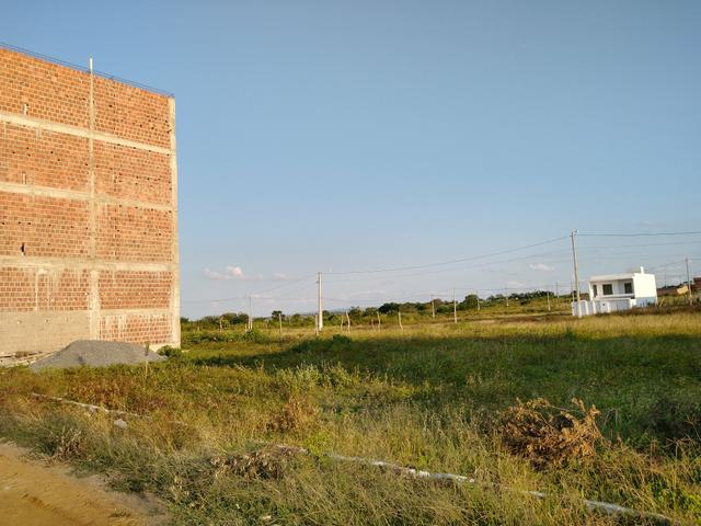 Terreno top