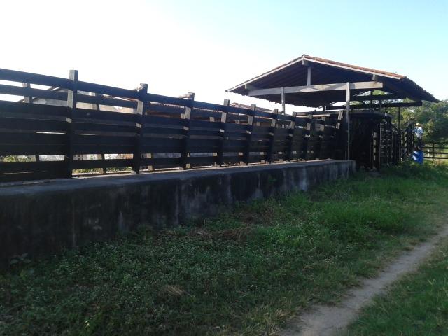 Fazenda com 290 há, casa, curral, 4 barreiros, muito pasto