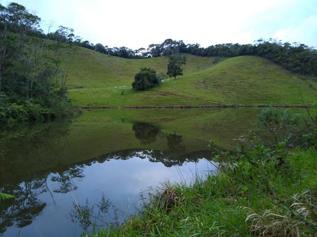Fazenda Viana 20 alqueires - Foto 11