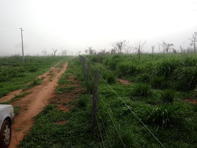 Vendo Fazenda em Novo Prigresso/PA - Foto 18