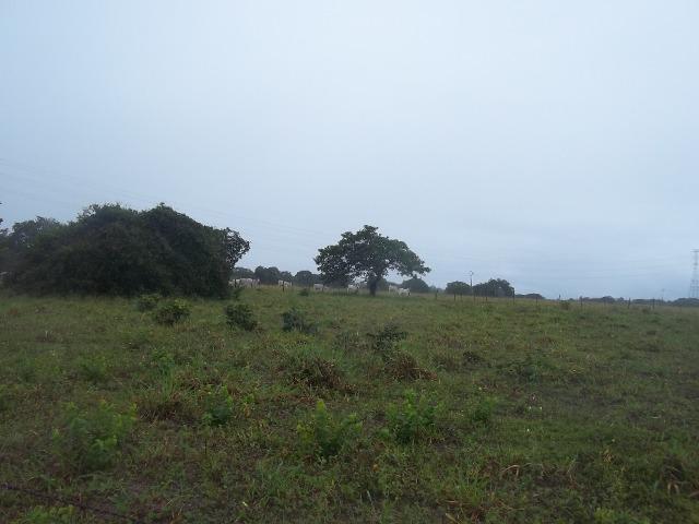 Fazenda com 110 há a 20 km de macaíba, 4 casas, 3 poços, riacho, barreiro - Foto 19