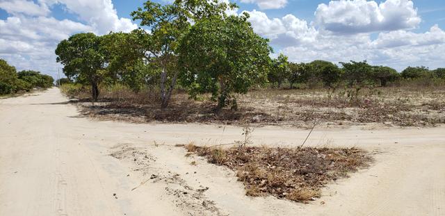 Terrenos na Serra de Santana! Próximo a Lagoa Nova RN - Foto 7