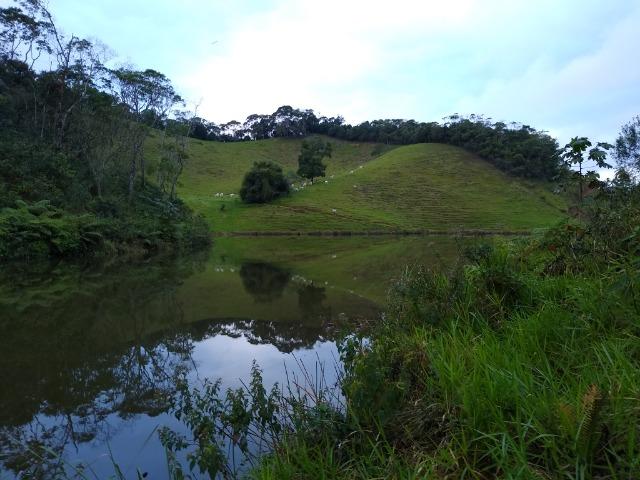 Fazenda Viana 20 alqueires - Foto 5