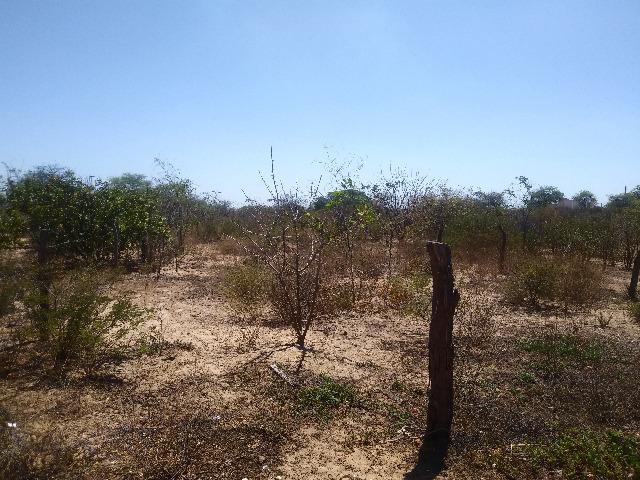 Terreno em frente a ilha do Massangano, 10x30 - Foto 4