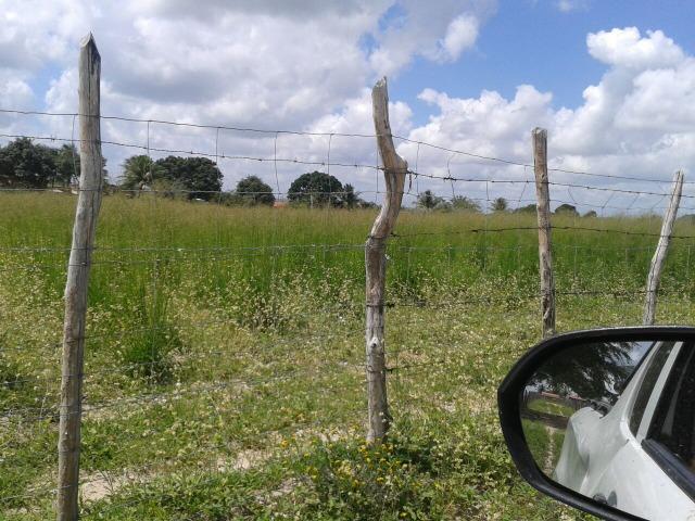 Fazenda com 80 há na br 304, casa, curral,aprisco, rio potengi - Foto 19