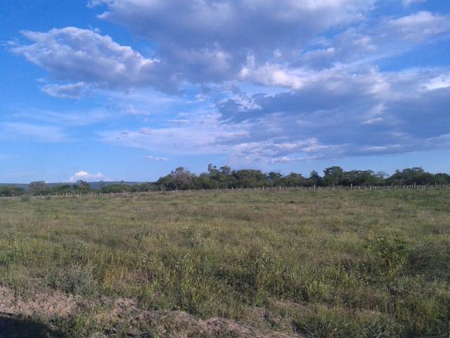 Fazenda com 6.000Ha à margem do Rio Preto! Em Mansidão BA. A 60km de Santa R. de Cassia - Foto 7