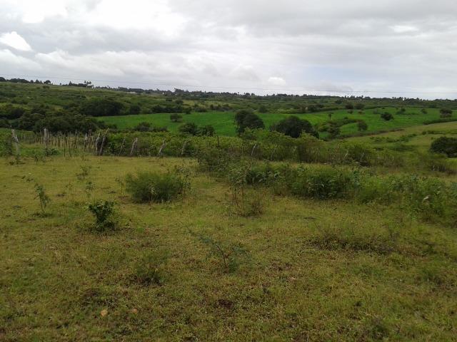 Fazenda com 63 há em brejinho, 10 barreiros, curral - Foto 11