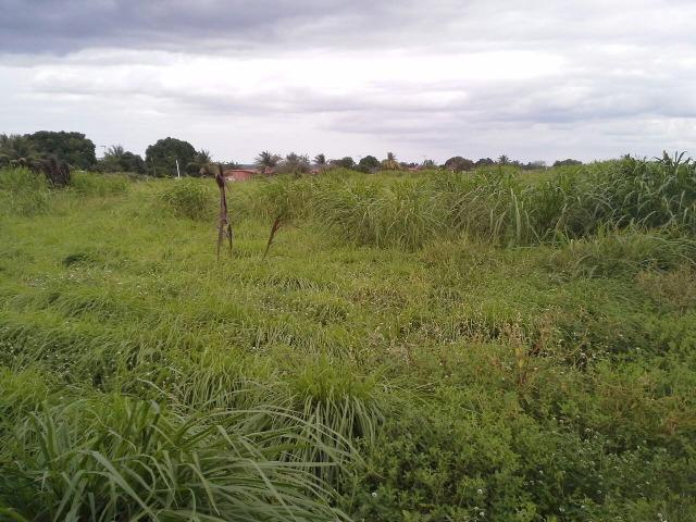 Fazenda com 80 há na br 304, casa, curral,aprisco, rio potengi - Foto 15