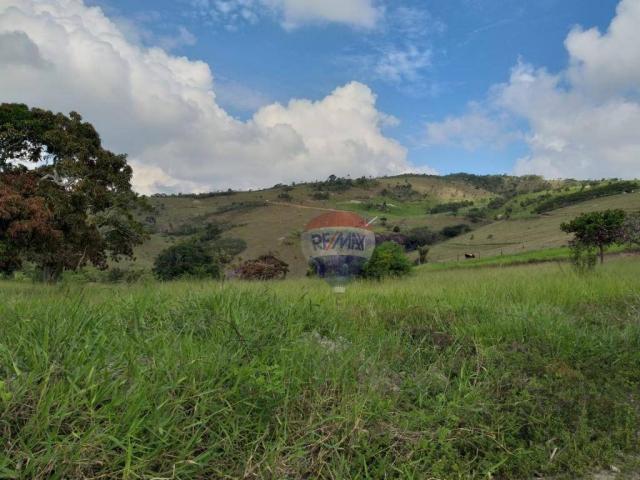 Fazenda com 4 dormitórios à venda, 800000 m² - zona rural - gravatá/pe - Foto 9