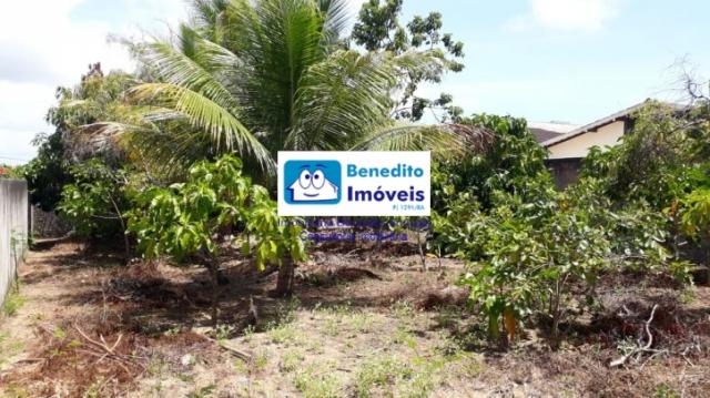 VENDO TERRENO EM PORTO SEGURO, LITORAL BAIANO - Foto 7