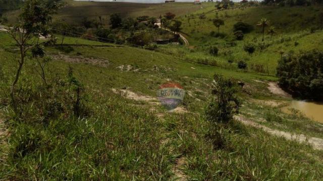 Fazenda com 4 dormitórios à venda, 800000 m² - zona rural - gravatá/pe - Foto 34