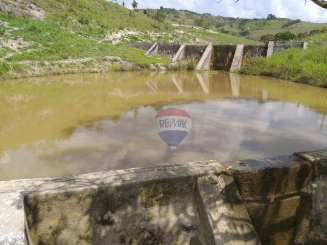 Fazenda com 4 dormitórios à venda, 800000 m² - zona rural - gravatá/pe - Foto 17