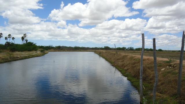 Vendo Fazenda para Produção de Camarão e Peixe - Foto 2