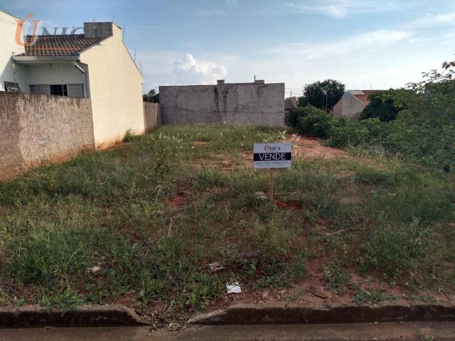 Terreno à venda, 227 m² por R$ 60.000 - Distrito Sumaré - Paranavaí/Paraná - Foto 2