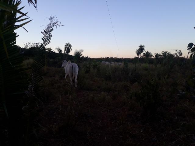 Chácara a 11 km de Acorizal - Foto 3