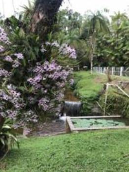 Venda* Linda Chácara!!!! - Foto 14