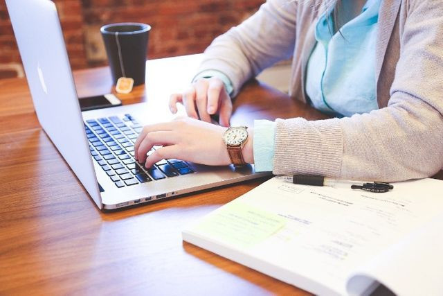 Redator, digitador freelancer