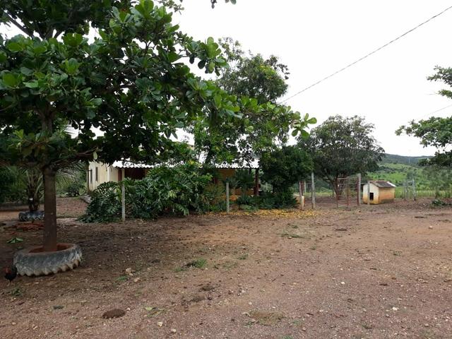 Chácara em Alexânia - Foto 4