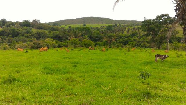 Chácara 5 Alqueires Rio Areia Córrego Nascente Corumbá de Goiás - Foto 13