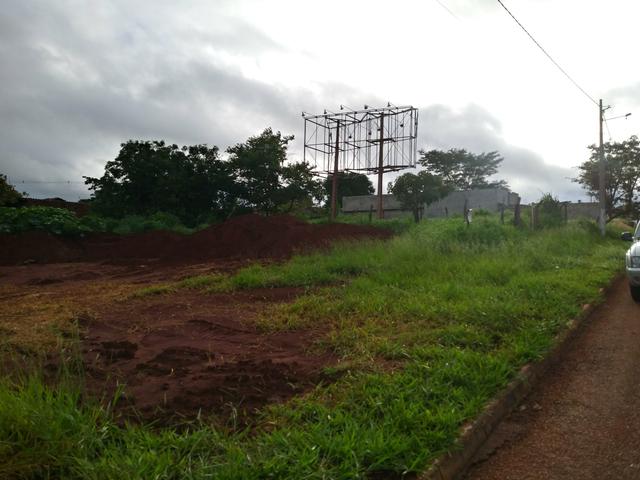 Lote em Trindade - Foto 3