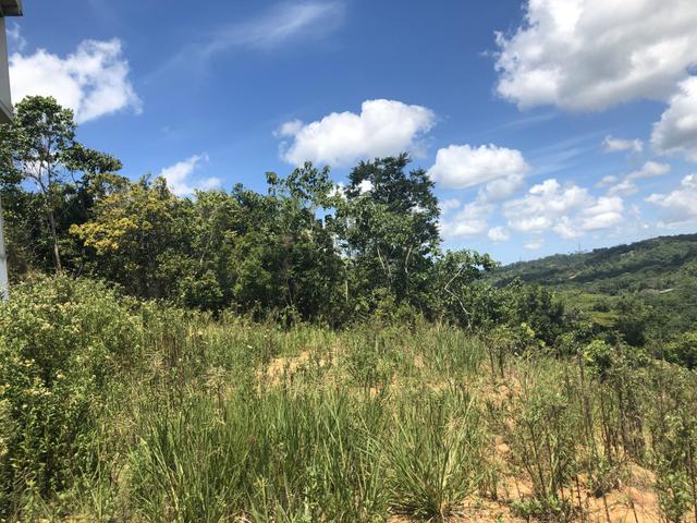 Terreno Privê Mirante de Aldeia II - Foto 9