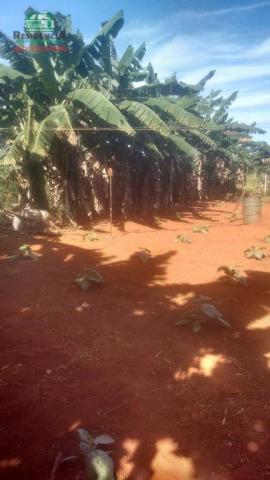 Chácara à venda, 15000 m² por R$ 300.000,00 - Zona Rural - Anápolis/GO - Foto 6