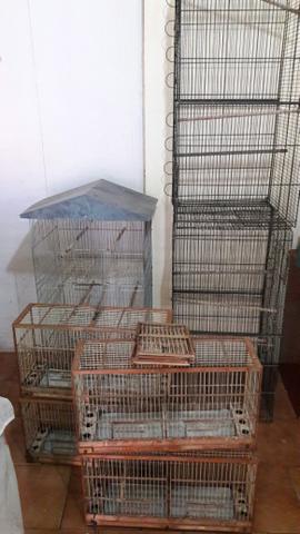 Vende se gaiolas