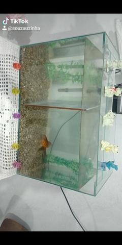 Aquário 72l - Foto 2