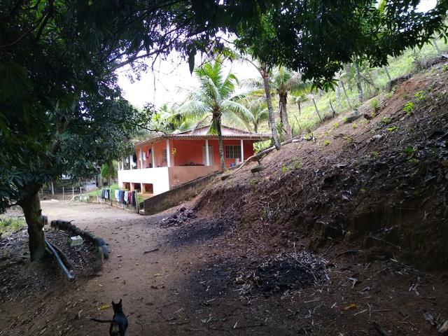 Sitio Viana 5 alqueires