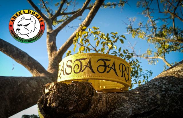 Coleira personalizada cachorros médio e grande porte - Foto 3