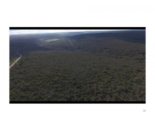 Fazenda para venda em ibicoara, rural - Foto 4
