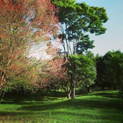Sítio Bico de Lacre. Venha curtir a serra - Foto 19