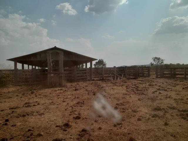 Fazenda venda ou arrendamento lavoura paranatinga - Foto 3