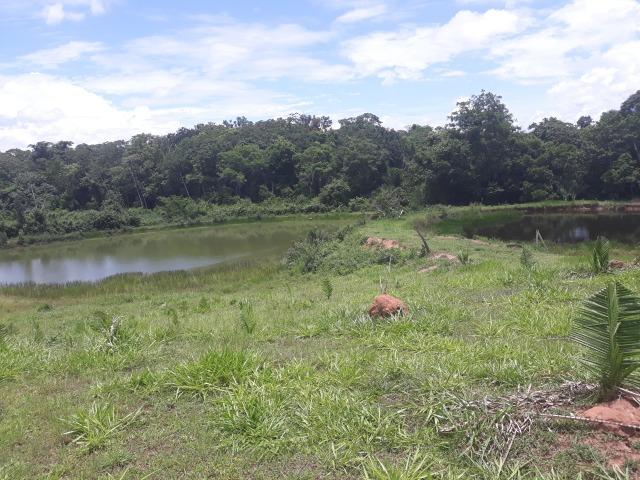 Vendo - Troco Chácara 12 Hectares - Foto 4