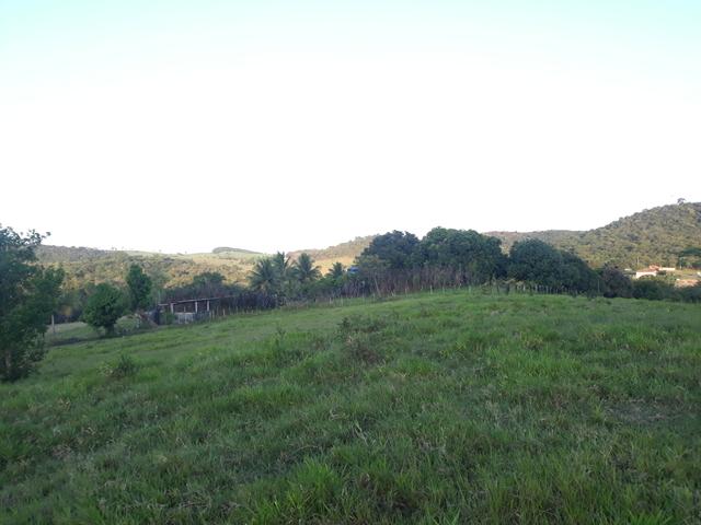 Aluguel de pasto - Foto 2