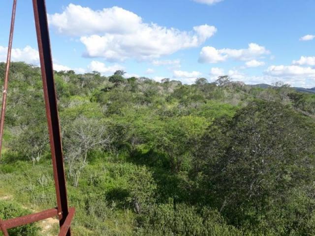 Fazenda para venda em santa cruz do capibaribe, centro - Foto 19
