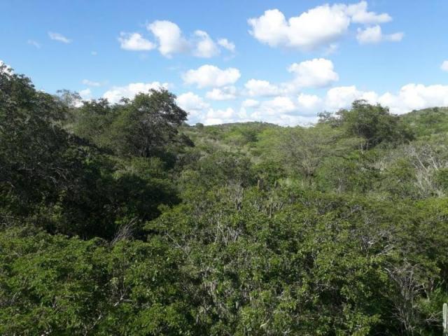 Fazenda para venda em santa cruz do capibaribe, centro - Foto 16