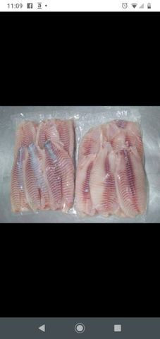 Peixe - Foto 2