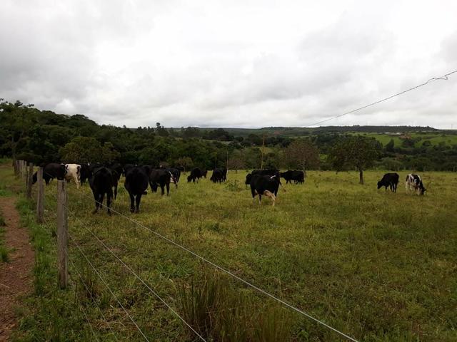 Chácara em Alexânia - Foto 5