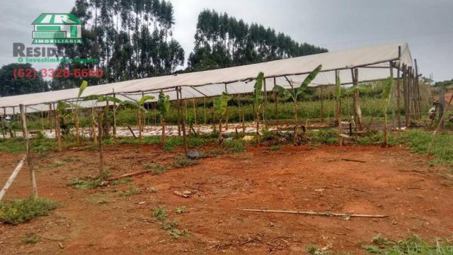 Chácara à venda, 15000 m² por R$ 300.000,00 - Zona Rural - Anápolis/GO - Foto 5