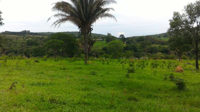 Chácara 5 Alqueires Rio Areia Córrego Nascente Corumbá de Goiás - Foto 5